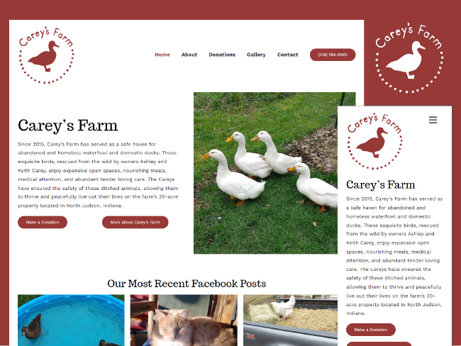 waterfowl and animal sanctuary website design for carey's farm