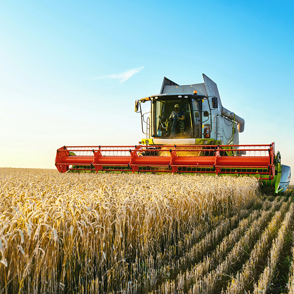 agriculture marketing agency agriculture marketing agency
