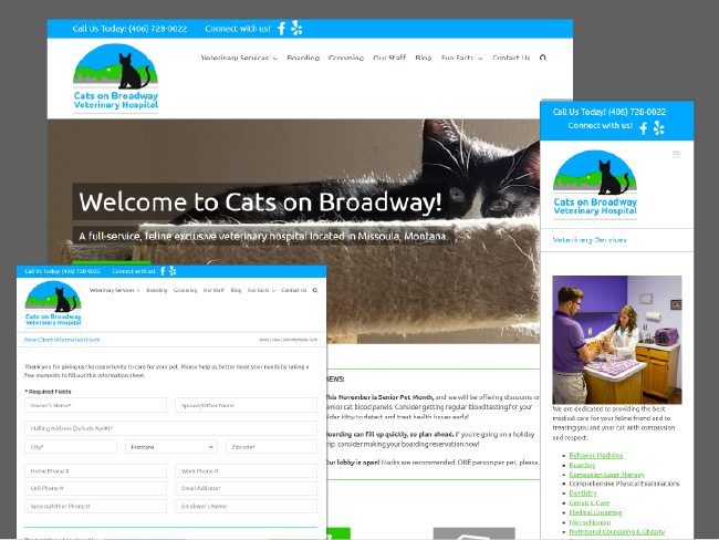 veterinary hospital website design for cats on broadway