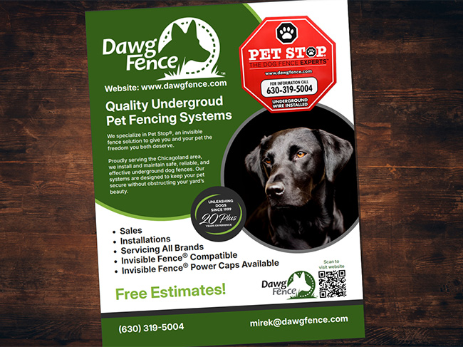 flyer graphic design