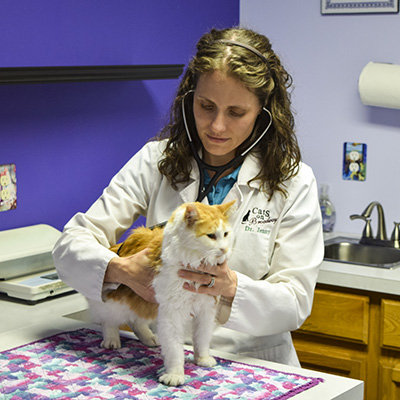 Dr. Jenny Ault