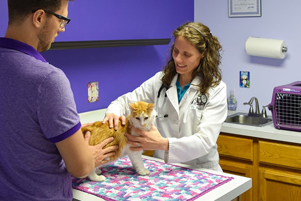 employees in action photography