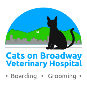 Graphic Design Services Logo Design Example