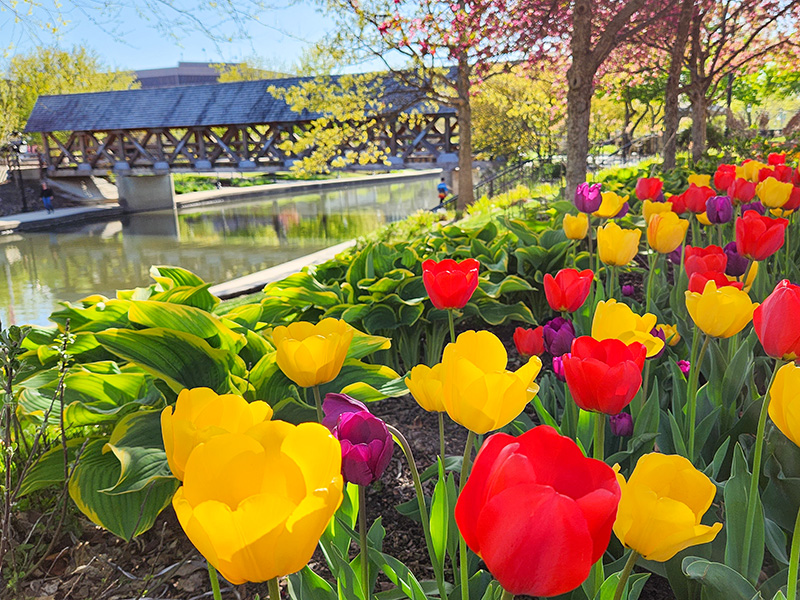 naperville marketing agency