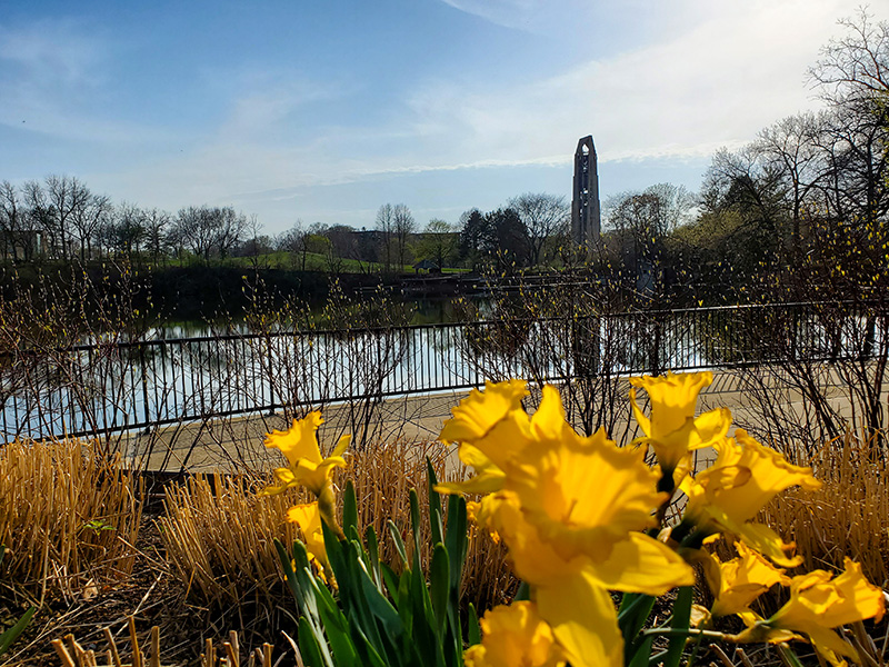 digital marketing agency naperville il