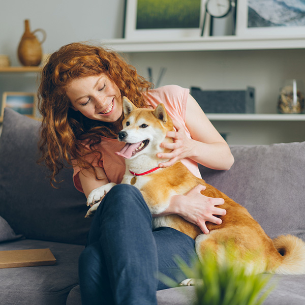 pet services marketing agency pet services marketing agency